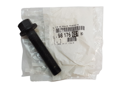 Śruba Citroen Peugeot 9817665180 Nowy Oryginał