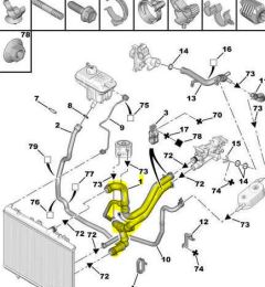 Przewód Chłodnicy Oryginał Citroen Peugeot 406 1343KR